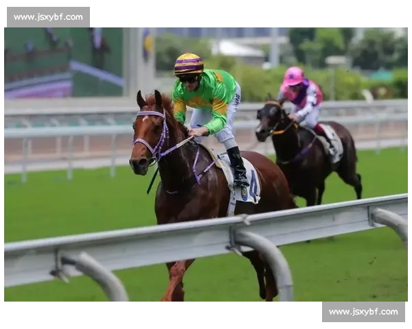 职业选手的一天，赛事回放带你了解训练秘辛